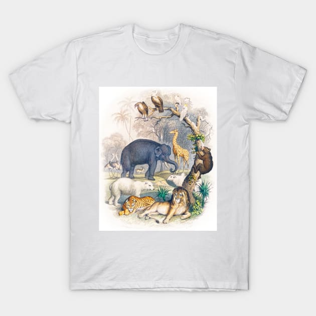 Cover of A history of the Earth (1820) T-Shirt by WAITE-SMITH VINTAGE ART